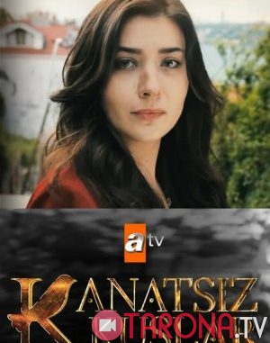 Птицы без крыльев / Kanatsiz Kuslar 1-31, 32, 33 серия (2017) турецкий сериал