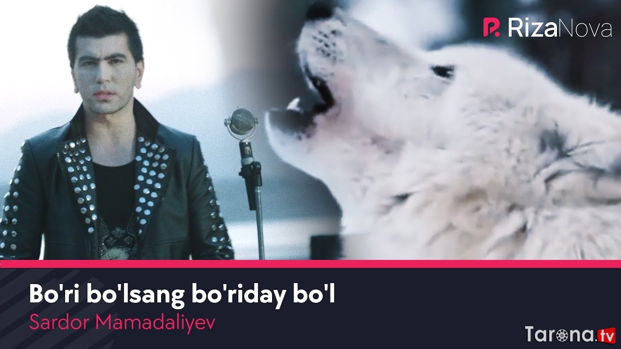 Sardor Mamadaliyev - Bo'ri bo'lsang bo'riday bo'l (Video Clip)