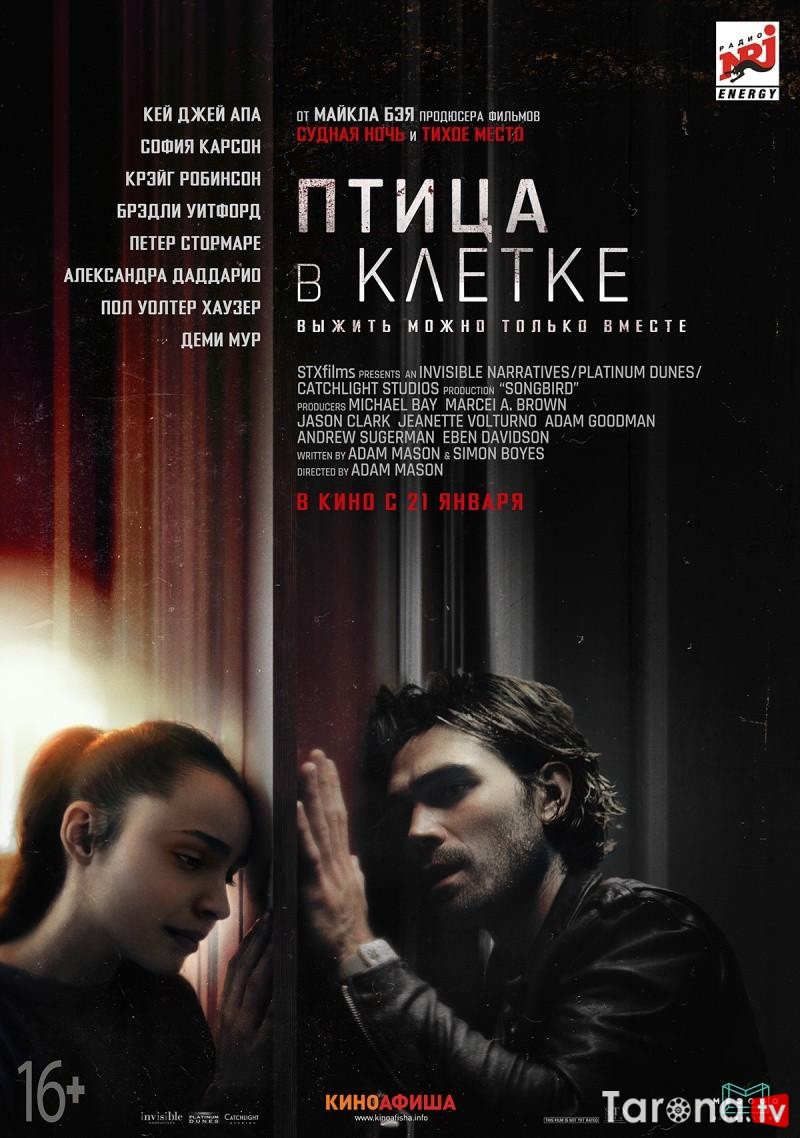 Qafasdagi Qush / Infeksiya Uzbek tilida, O'zbekcha tarjima (2020)