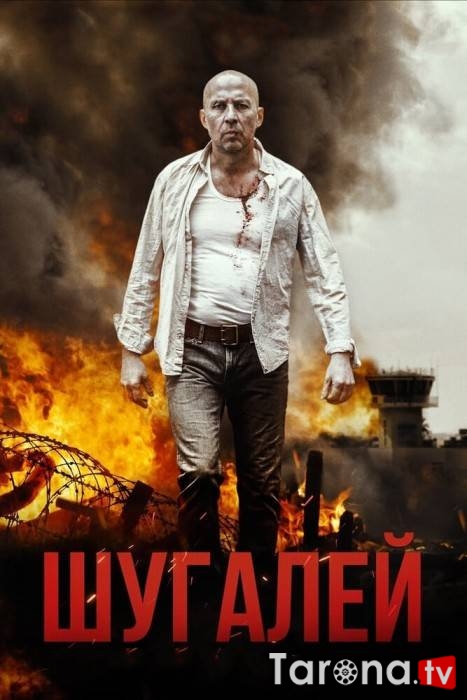 Shugaley Uzbek tilida, O'zbekcha tarjima Kino HD 2020