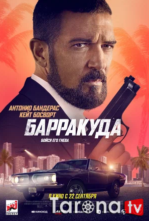 Barrakuda Uzbekcha Tarjima 2022