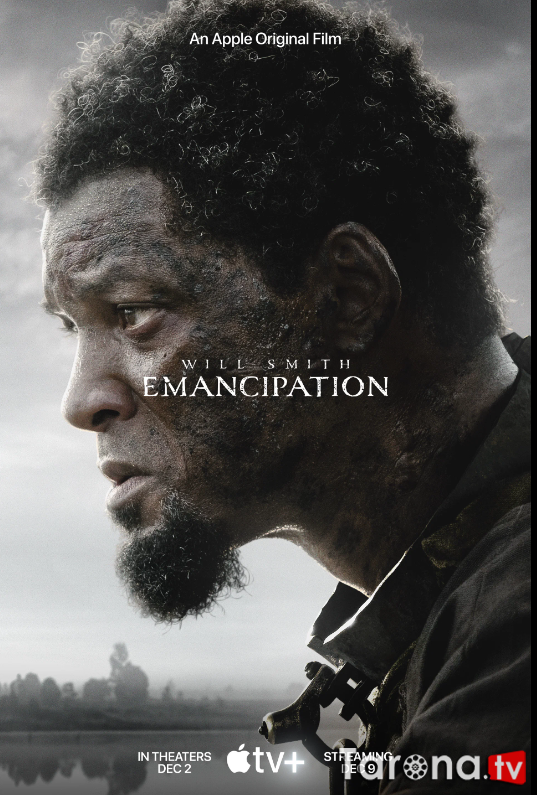 Ozodlik Uzbekcha Tarjima 2022